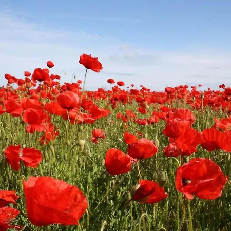 Nahe Ostsee Graal Mueritz * Roevershagen