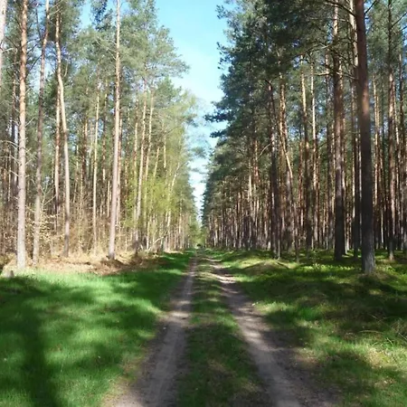 Nahe Ostsee Graal Mueritz