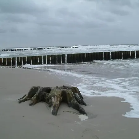 Nahe Ostsee Graal Mueritz